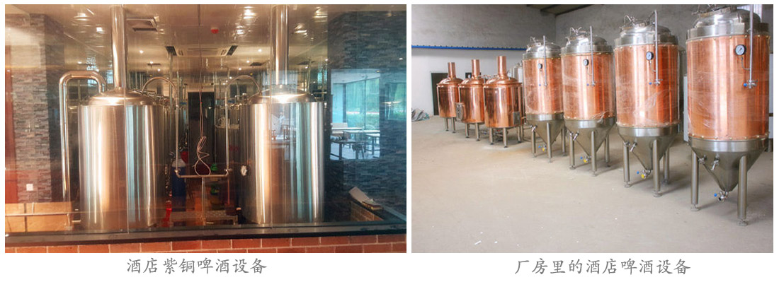 紫铜精酿好博(中国) 紫铜精酿好博(中国)