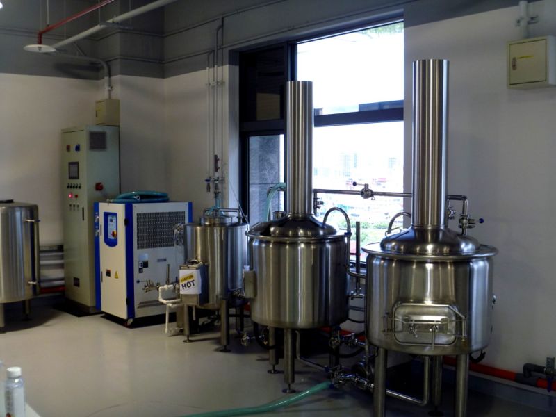 实验好博（中国）