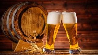 精酿好博（中国）