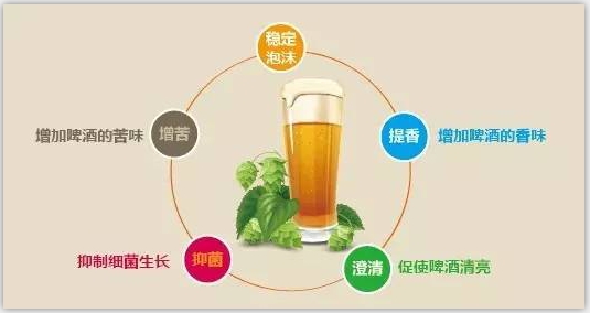 精酿好博(中国) 精酿好博(中国)