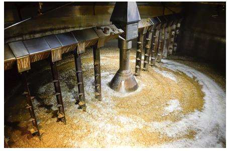 啤酒原料 啤酒原料